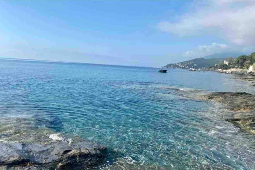 Appartement Vue Mer Avec Parking Gratuit Sur Place Bastia  Exteriör bild